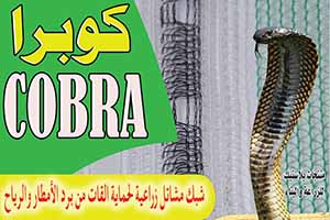 cobra